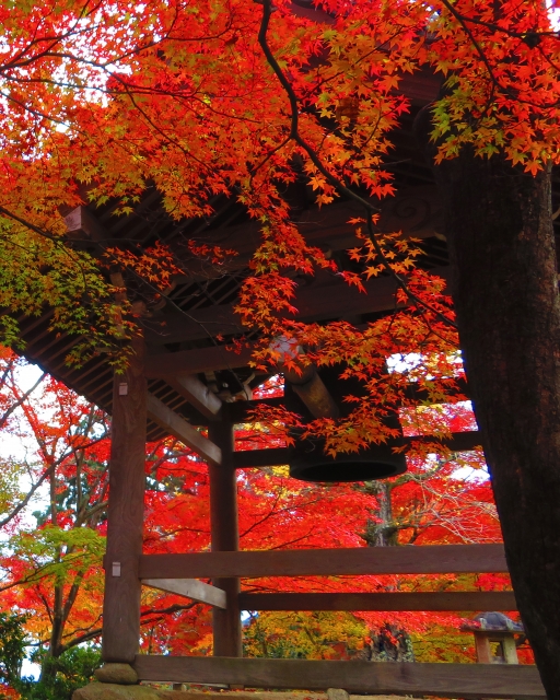 常寂光寺の概要